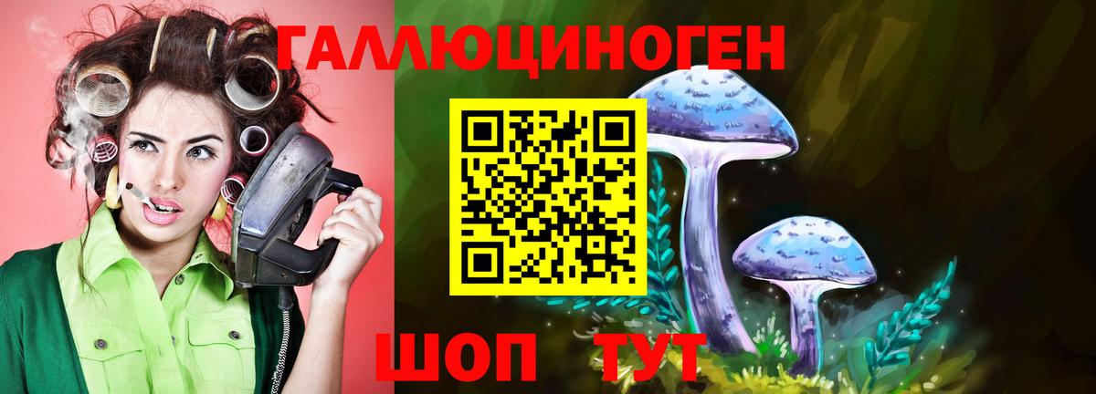 Псилоцибиновые грибы мицелий Сальск